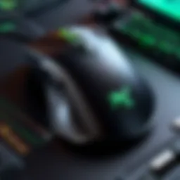 An In-Depth Examination of the Razer DeathAdder V2 Pro Introduction