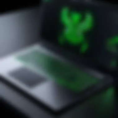 Professional-grade Razer laptop for business use with a clean interface