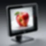 Sleek design of the Apple Digital Photo Frame showcasing its modern aesthetics.