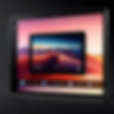 Intuitive User Interface Experience User interface of the Apple Digital Photo Frame highlighting its intuitive navigation.