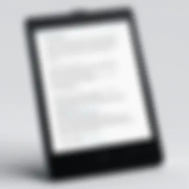 Screenshot of a customizable settings page within an EPUB reader application