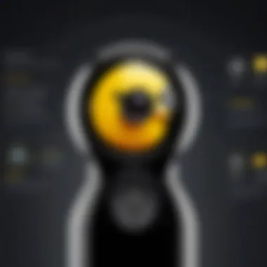 Privacy and Security Features of the Canary View Graphic representation of privacy features and security of the Canary View