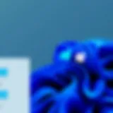 Comparative Analysis of Windows 10 and Windows 11 for IT Professionals Introduction