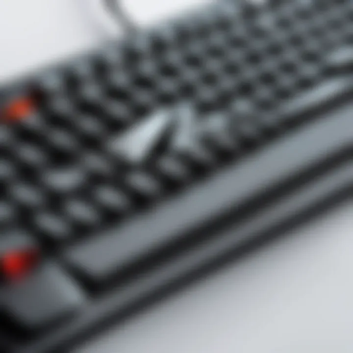 Notable Comprehensive Analysis of Logitech Keyboard G213