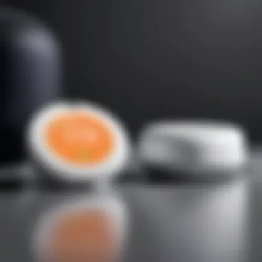 Sleek Design of Google Nest Devices Overview of the latest Google Nest devices showcasing their sleek design
