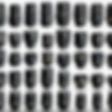 Historical evolution of Nikon lenses