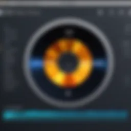 User interface of a popular DVD ripping software on Mac