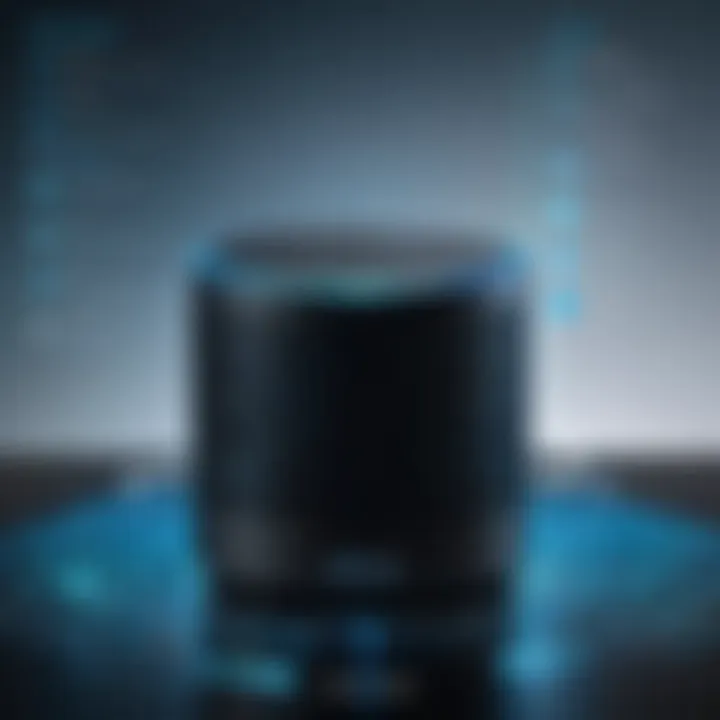 Visual representation of online functionalities associated with Alexa Echo