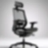 Ergonomic office chair design showcasing lumbar support.