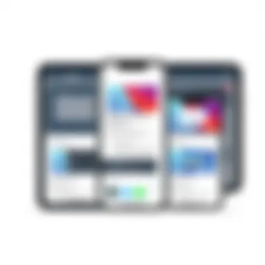 Notable Evaluating the Best iPhones Available Notable Evaluating the Best iPhones Available