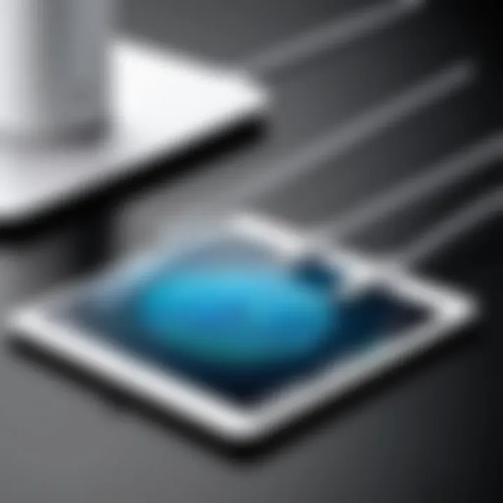 Technical specifications of WiFi antennas for iPads