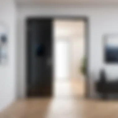 A futuristic concept of remote door access in a smart home