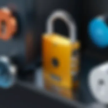 Comparative Analysis of Digital Padlocks Comparison of various digital padlock models