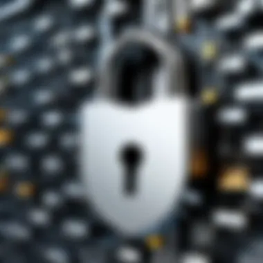 Technological Innovations in Digital Security Overview of technological advancements in padlocks