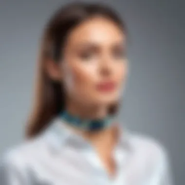 Enhancing User Experience Through WiFi Collar Innovation Visual representation of user experience with WiFi collars
