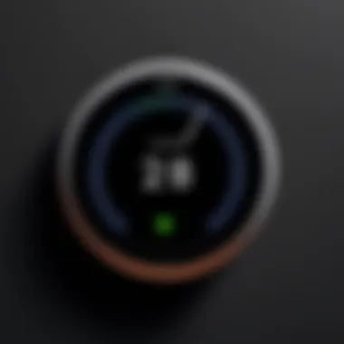 Close-up of the Google Nest Learning Thermostat showcasing its sleek design