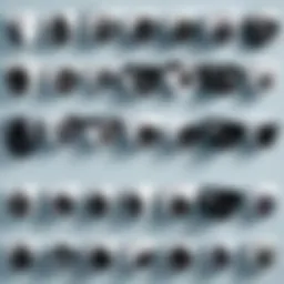 Overview of various security camera types