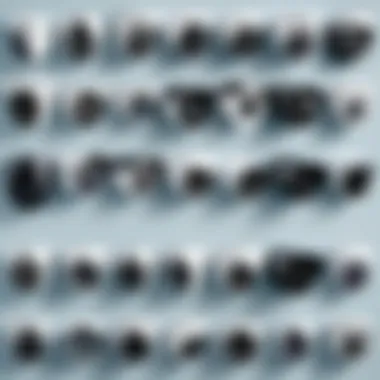 Diverse Types of Security Cameras Overview of various security camera types