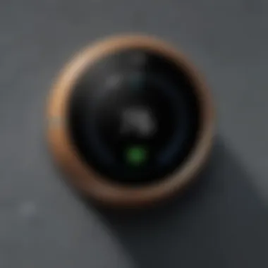 User interface of the Nest app for the Doorbell