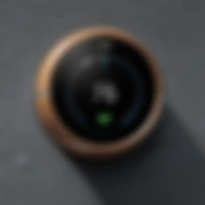 User interface of the Nest app for the Doorbell