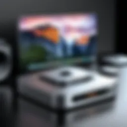 Illustration of virtualization software interface on Mac Mini