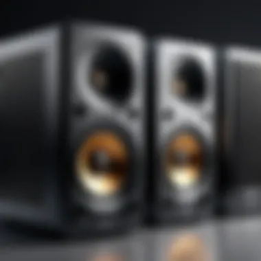 User-Friendly Features in PC Speakers User-friendly features of modern PC speakers
