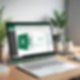 Overview of Microsoft Excel Licensing Options