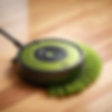 Close-up of Roomba brush collecting cat hair