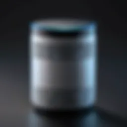 Smart speaker with voice assistant technology