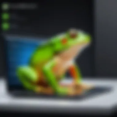 Diagram illustrating Frog VPN features