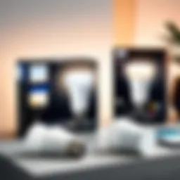 Philips Hue Smart Dimming Kit overview