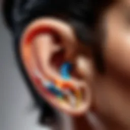 Anatomical ear structure highlighting variations in ear shapes
