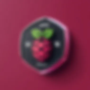 Benefits of VPN on Raspberry Pi Visual representation of VPN advantages on Raspberry Pi